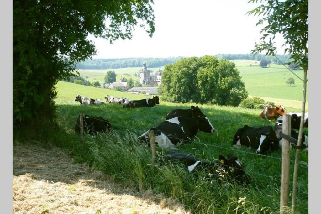 Hoeve Espewey Cottage Hombourg エクステリア 写真
