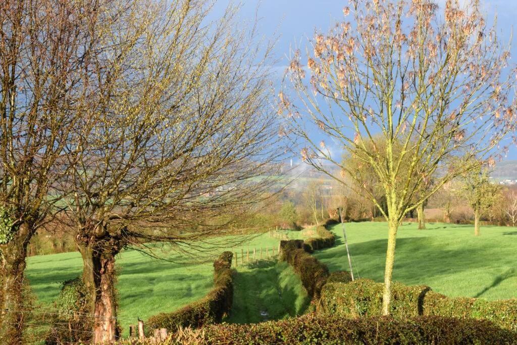 Hoeve Espewey Cottage Hombourg エクステリア 写真